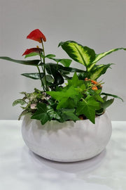 עציץ קוקטייל עגול - Bouquet בוקט פרחים